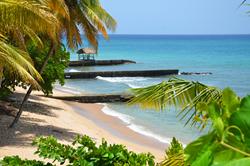 Tobago Beach Dive Hotel - Tropikist